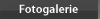 Fotogalerie